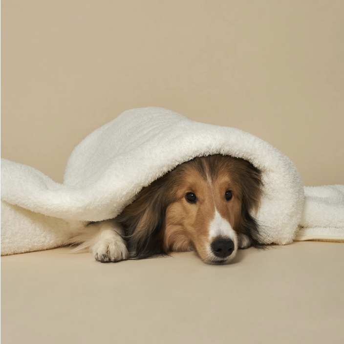 *SuperPet🇰🇷巨無霸寵物吸水毛巾(2件裝）