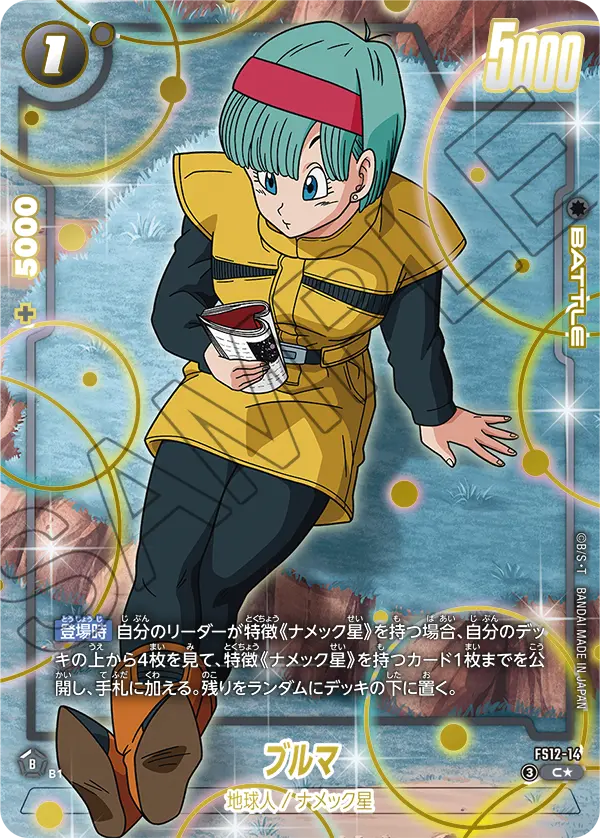 FS12-14 C ブルマ[異圖]