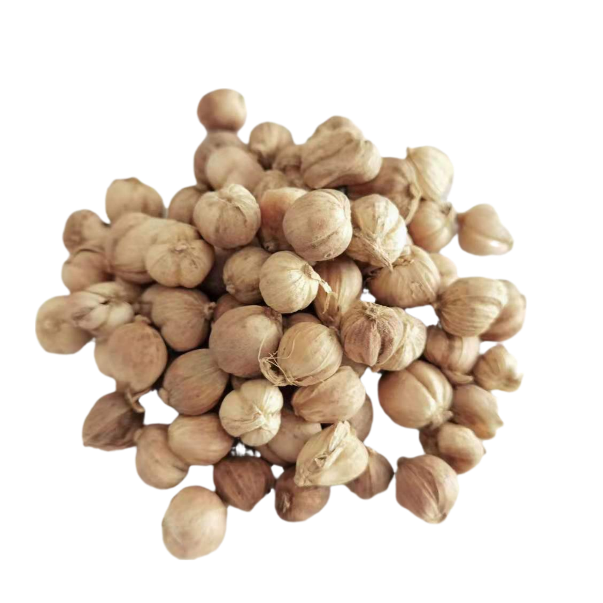 白豆蔻，清新優雅，麻辣火鍋，香料White Cardamom ,The Elegant All-Purpose Spice