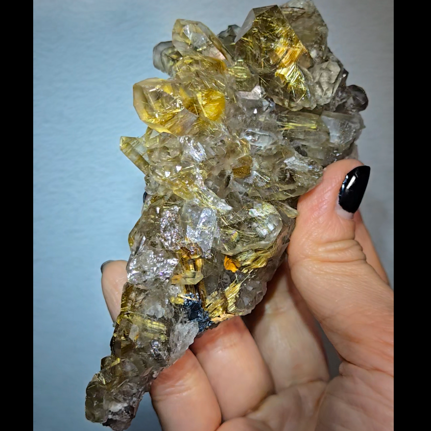 High-grade golden starburst rutiles on black hematite in quartz - RT1434