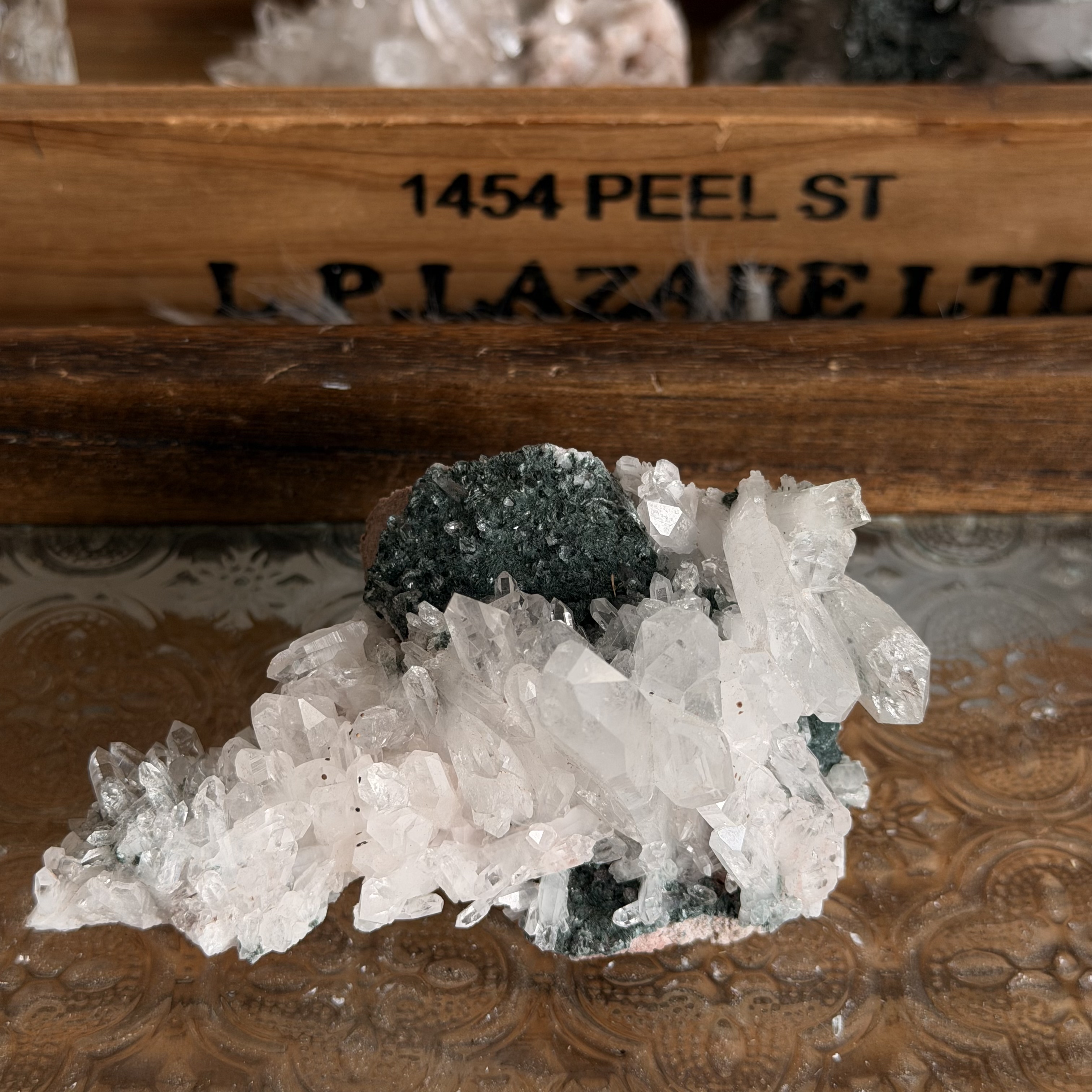 巴基斯坦綠泥白水晶共生