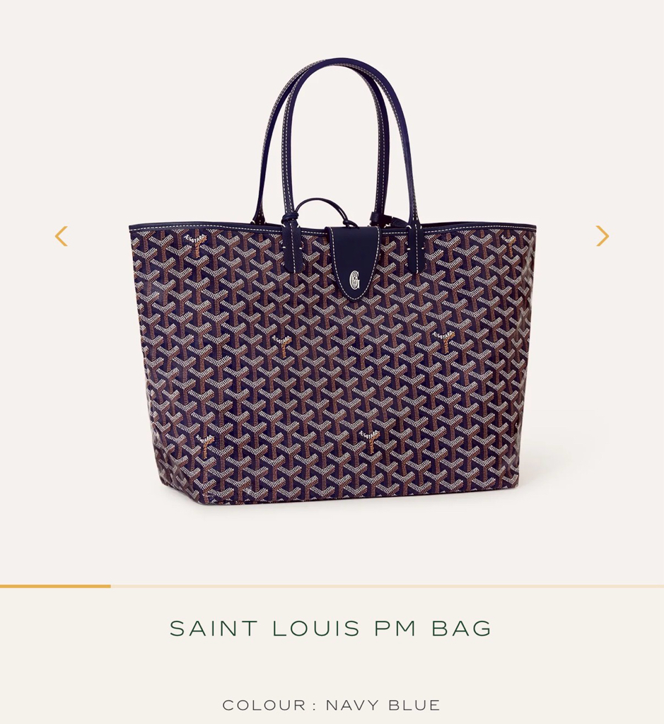 Goyard Saint Louis PM Bag (新款附包夾）