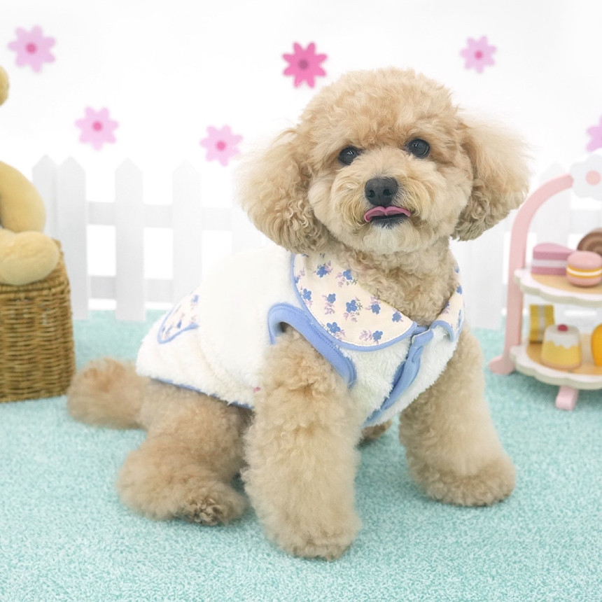 韓國 可愛熊熊🐻系列 衫衫 