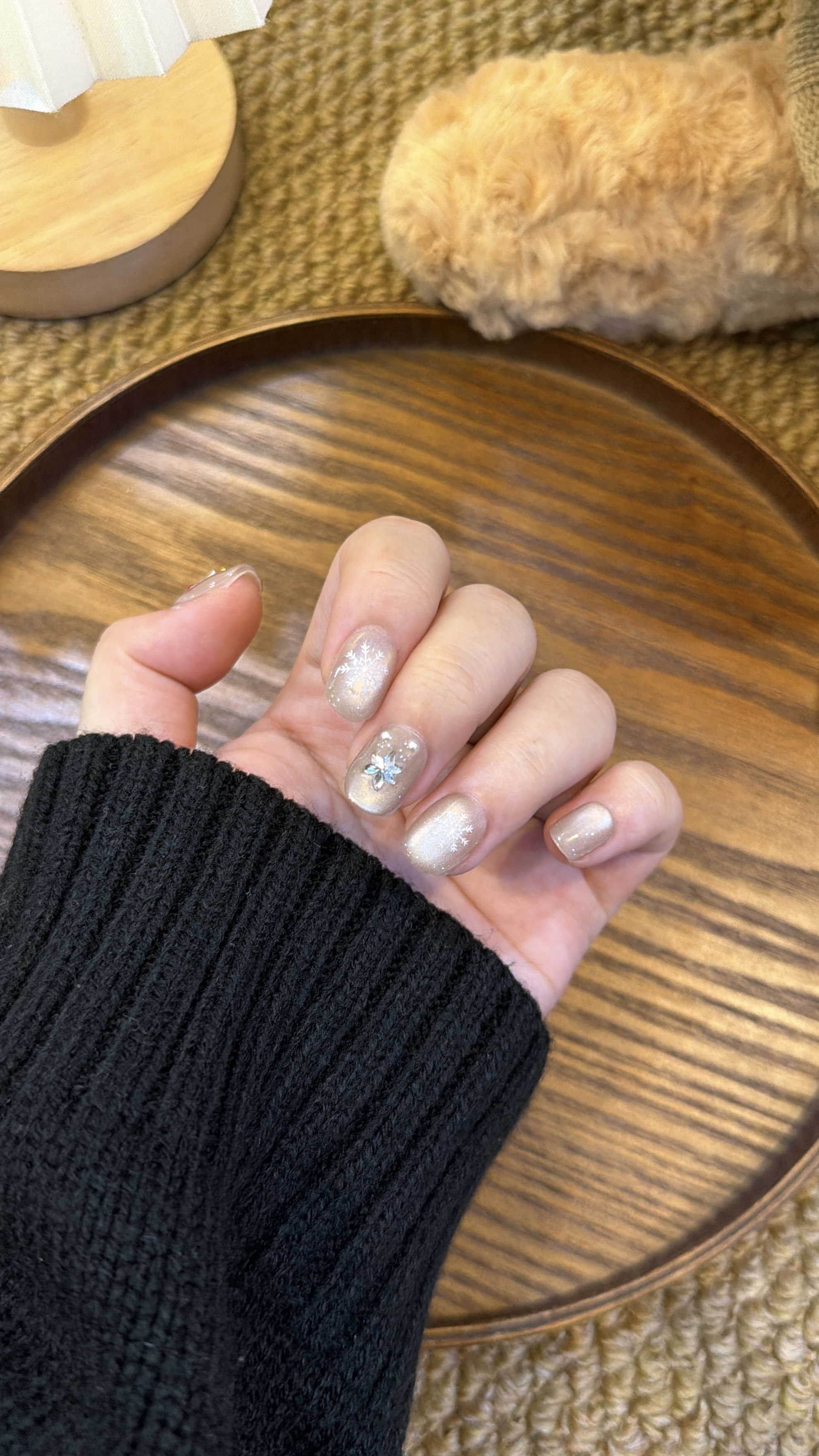 朱砂瑞狮 短方圆