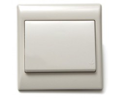 F2781一位單控開關10A