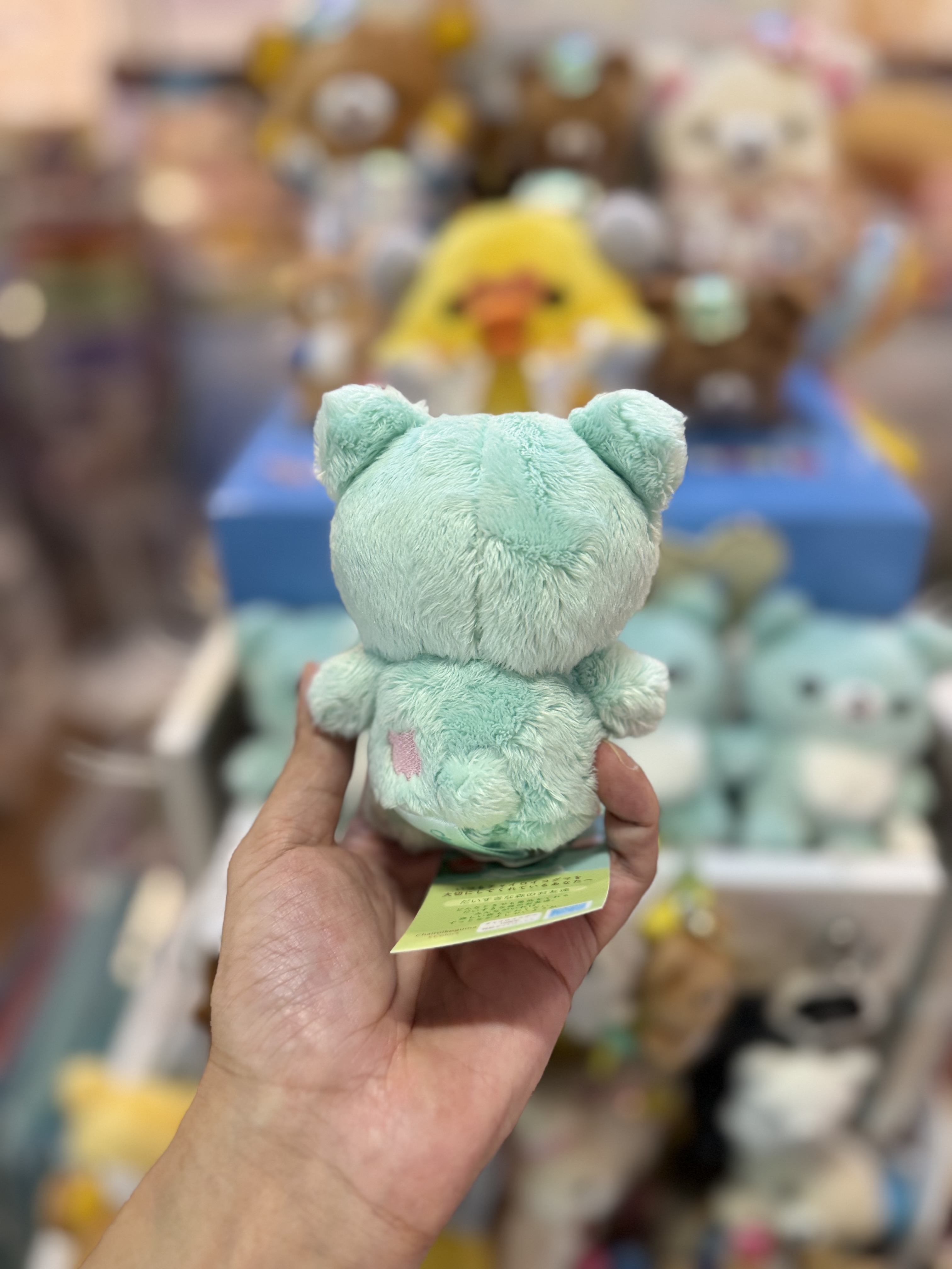 《現貨》全新小熊10週年紀念 薄荷綠色小熊公仔