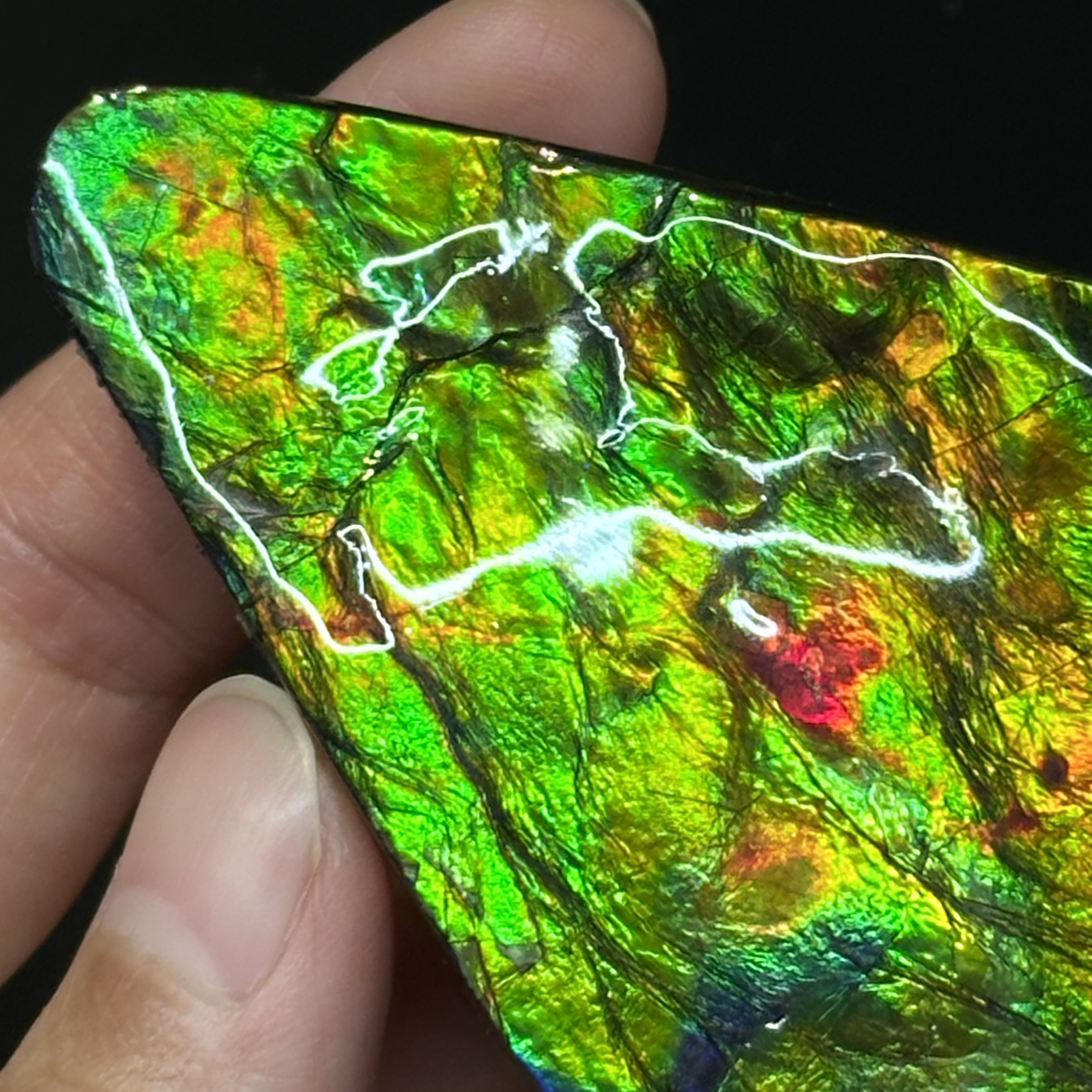 斑彩石 - Ammolite AM02