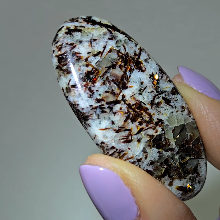 Astrophyllite cabochon with copper-colored inclusions - AST8