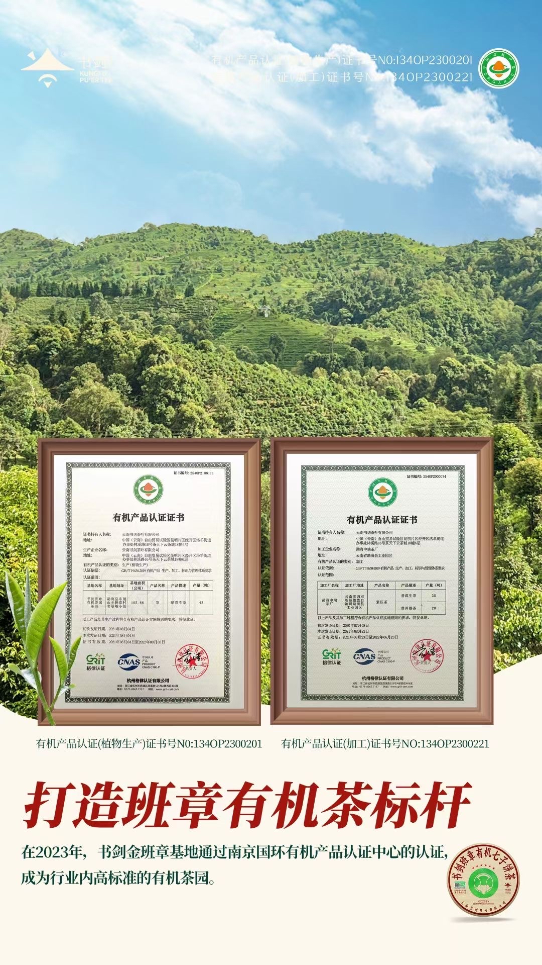 【古韵】甄选珍藏款 双茶饼 古色生香一品经典