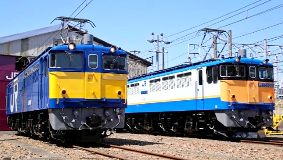 Tomix N 特別企画品 JR EF65形電気機関車（貨物オリジナル塗粧)