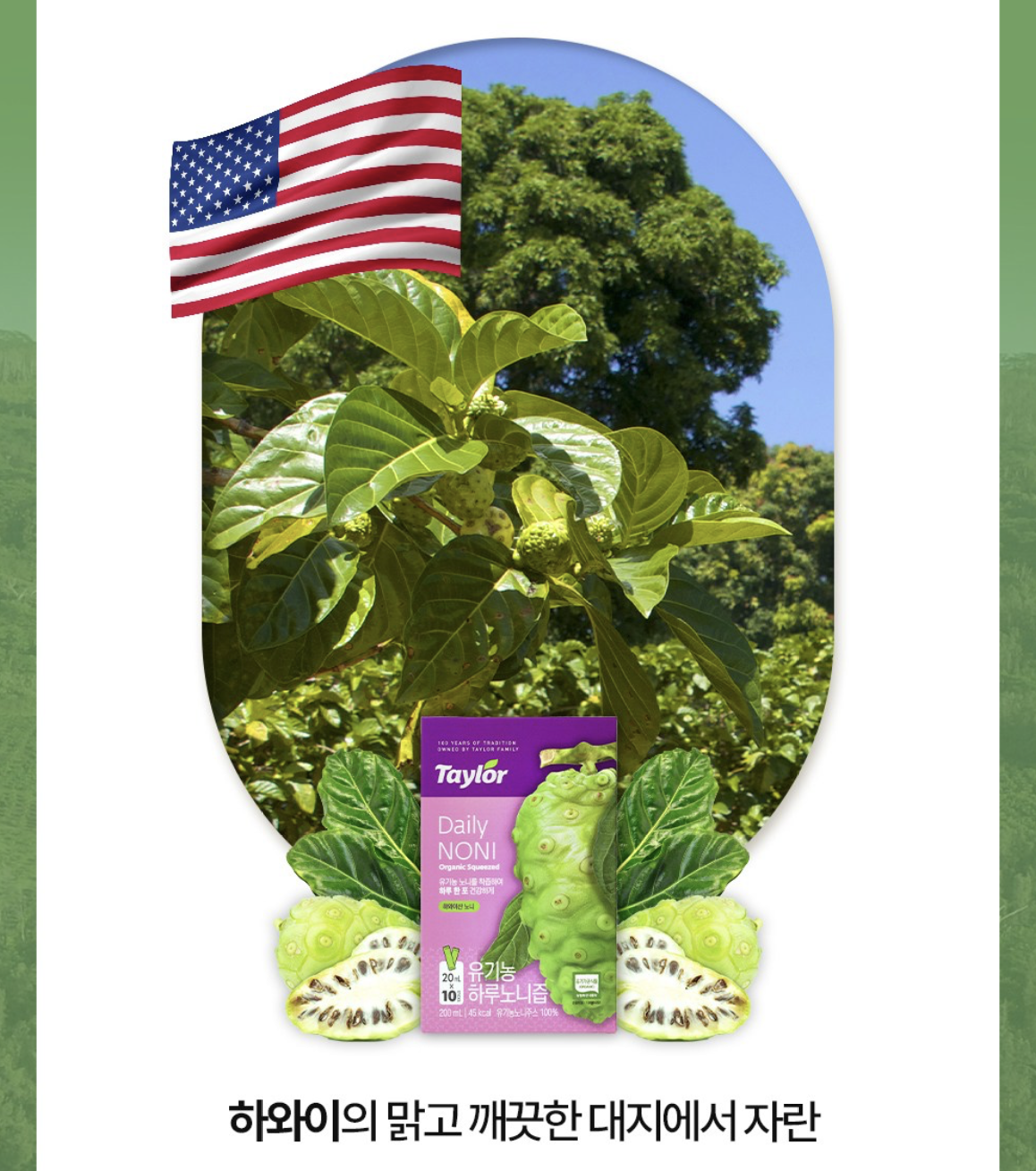 韓國 Taylor 美國天然 有機 諾麗果汁 10包/盒｜Organic Daily Noni Juice