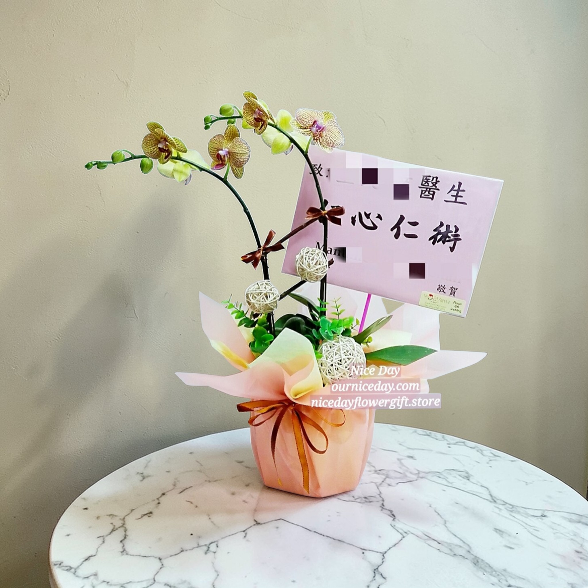 BO04 蝴蝶蘭枱花