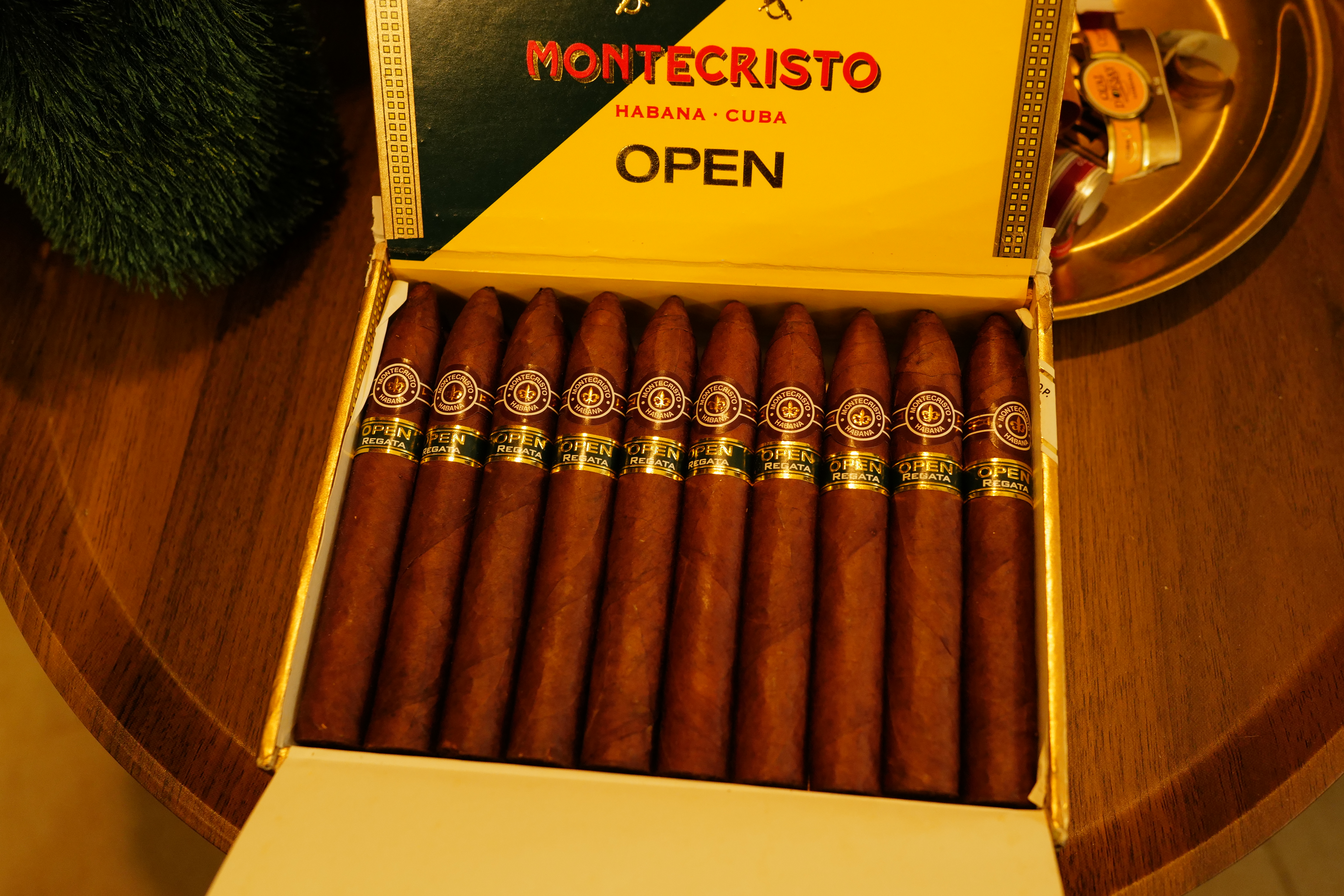Montecristo Regata (賽帆)