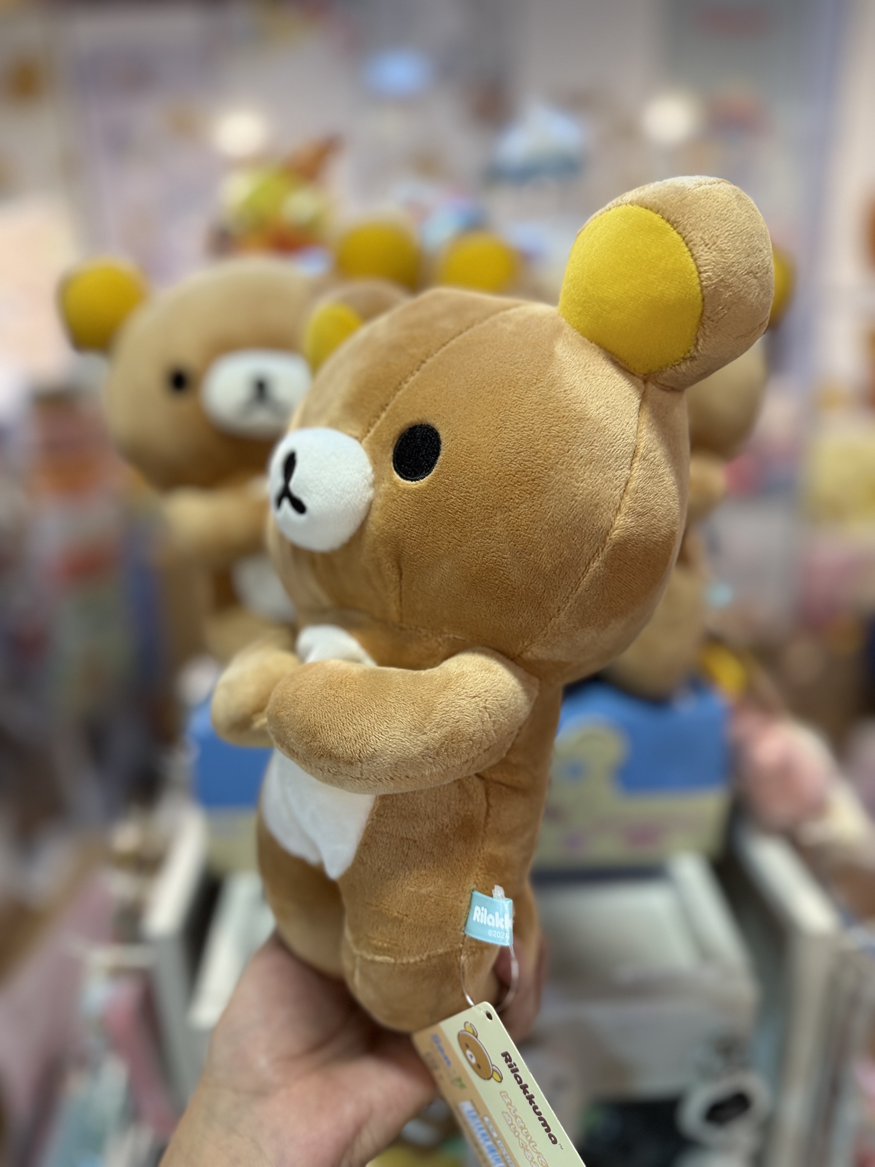《現貨》全新Rilakkuma瓦瓦貓系列跪地公仔