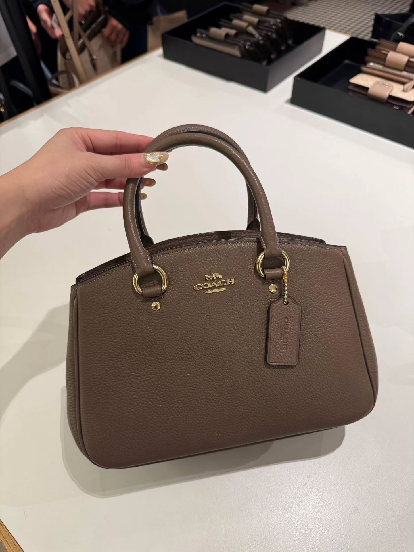 🇯🇵Coach Savannah 戴妃包