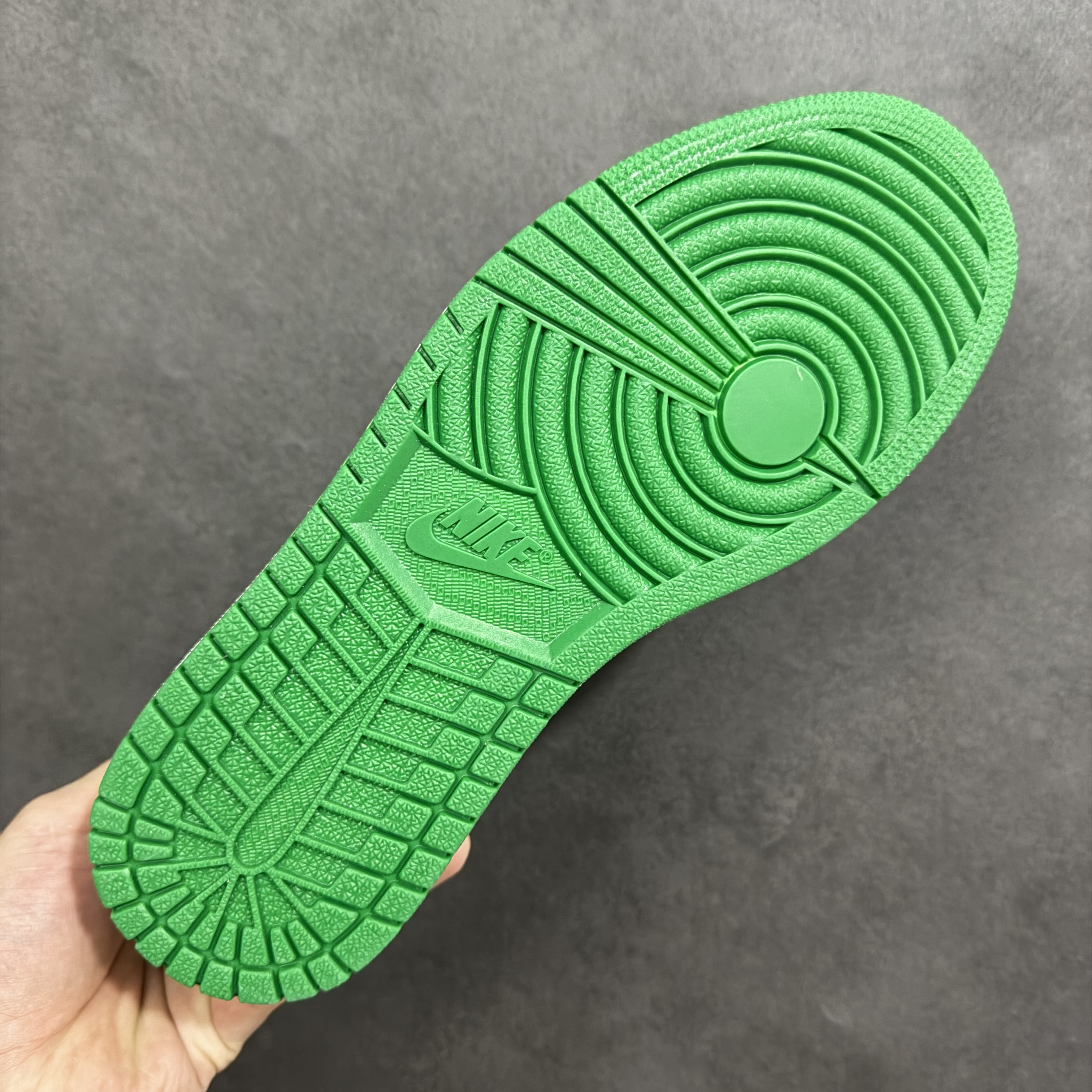 Nike Air Jordan 1 Retro High OG DZ5485-031