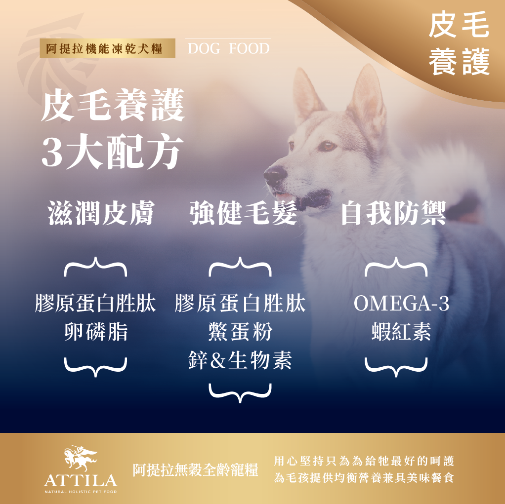 阿提拉凍乾機能無穀狗糧 (鹿＋藍鱈＋羽衣甘藍) 