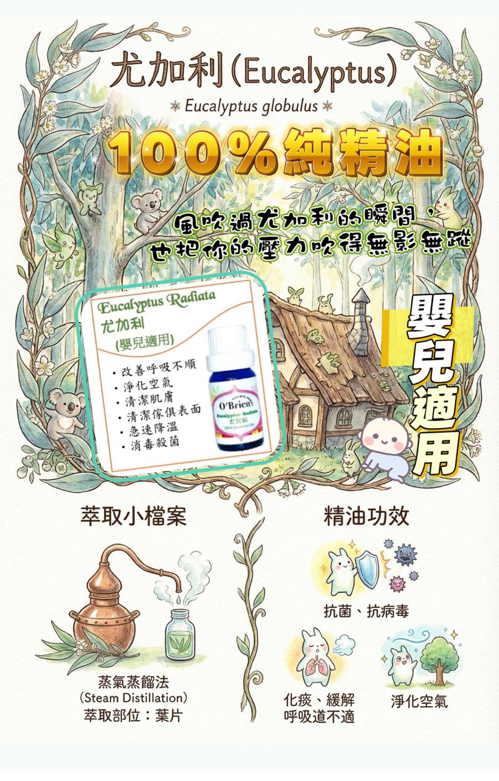 尤加利純精油10ml（嬰兒適用）