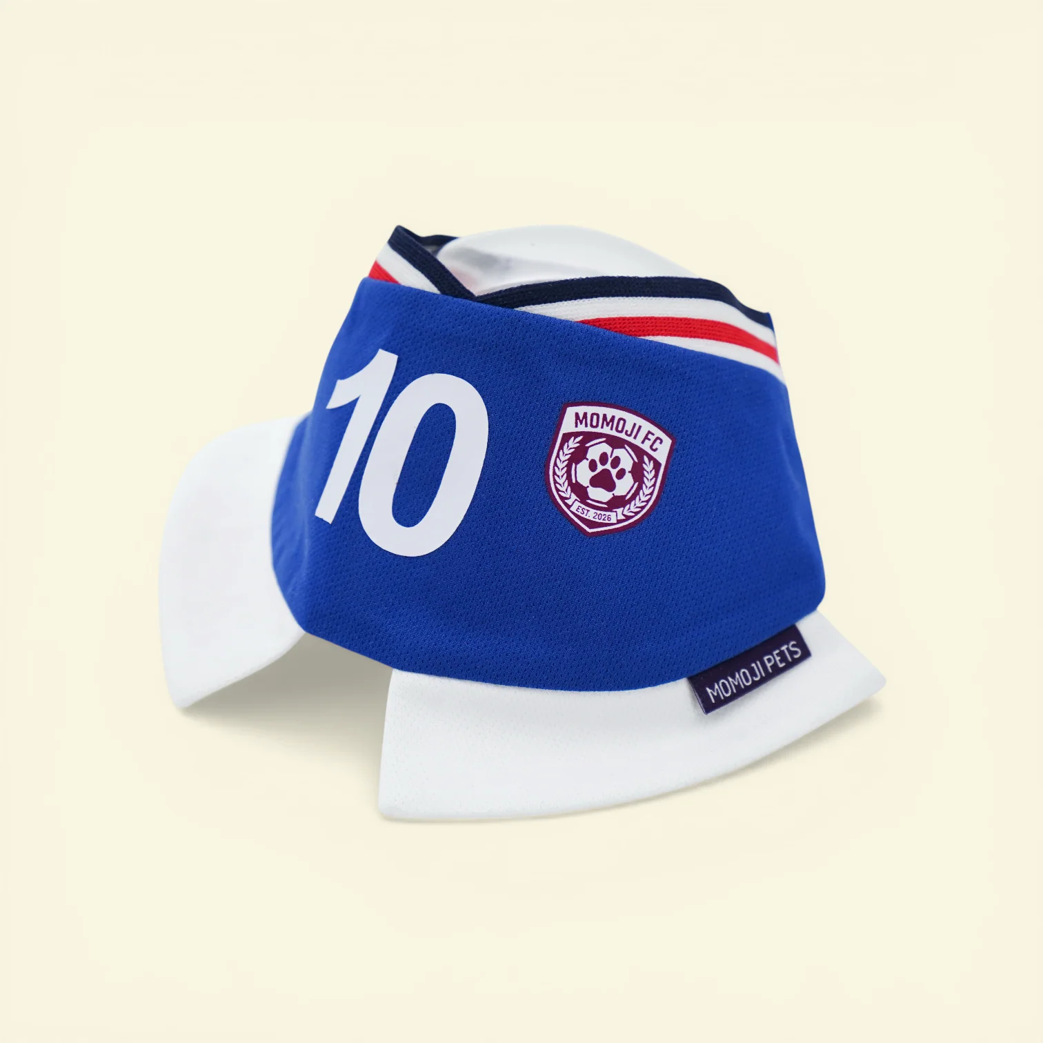 Momoji FC (5-Rome Blue) | Pet Neckwear