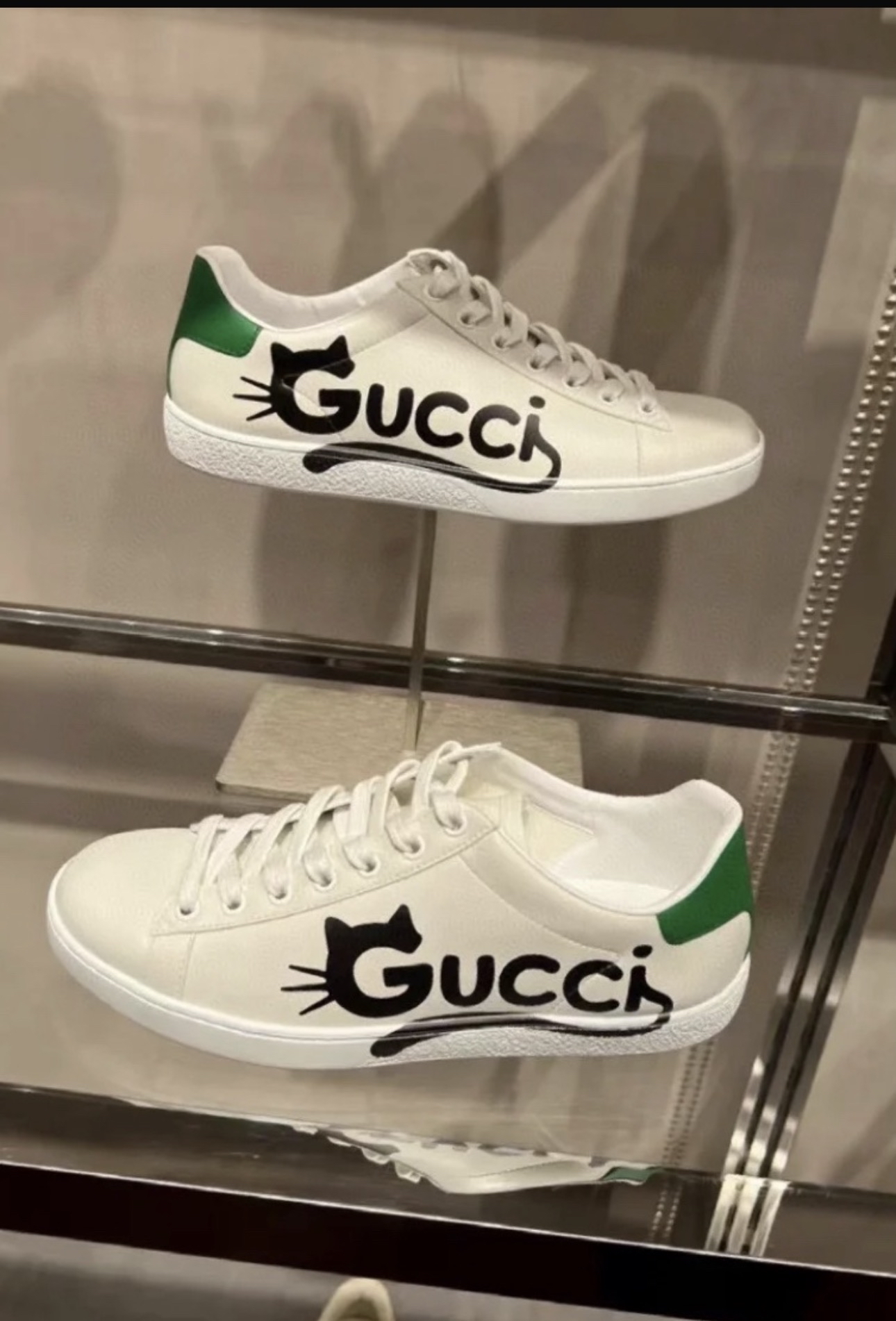 Gucci 貓造型圖案白色皮革運動鞋