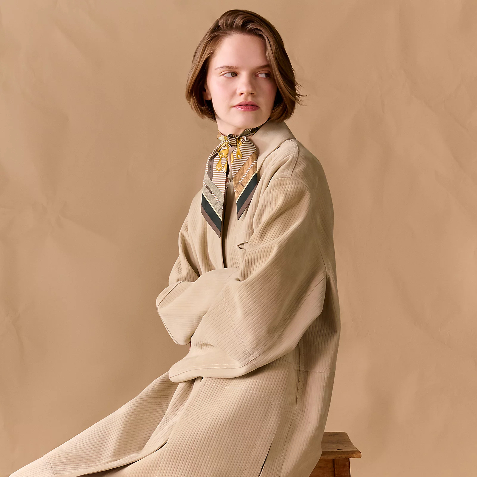 Hermès 全新🆕 100%絲 Mors A Jouests Chemis 馬嚼鎖環襯衫圖案 Twilly