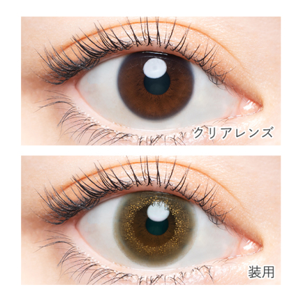 AngelColor Bambi Series - Vintage Hazel (1day/10P)