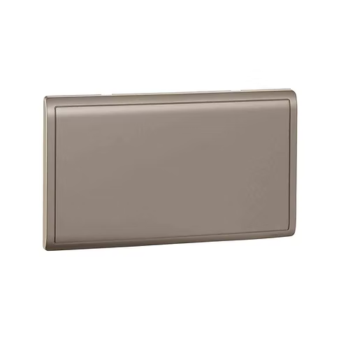 施耐德 Pieno 沉醉金 孖位 空白面蓋