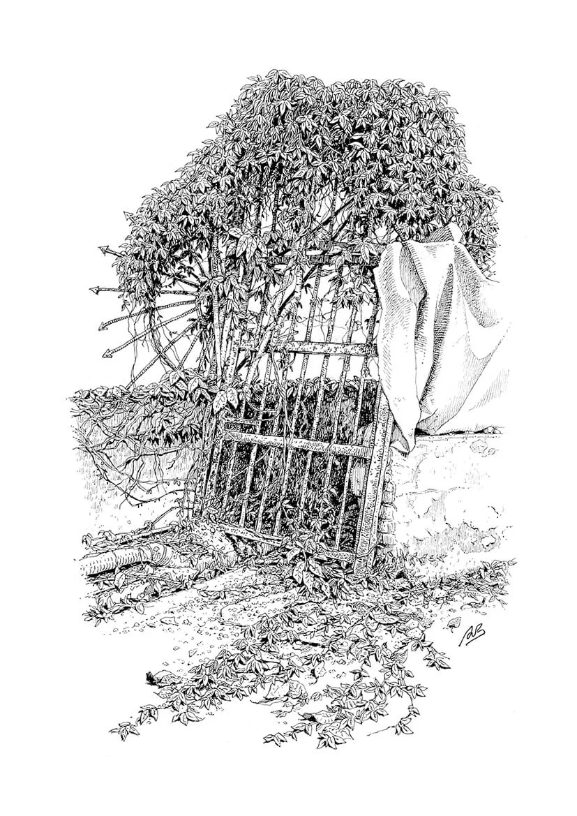 The Ink Trail - ART PRINT Tempus Edax Rerum