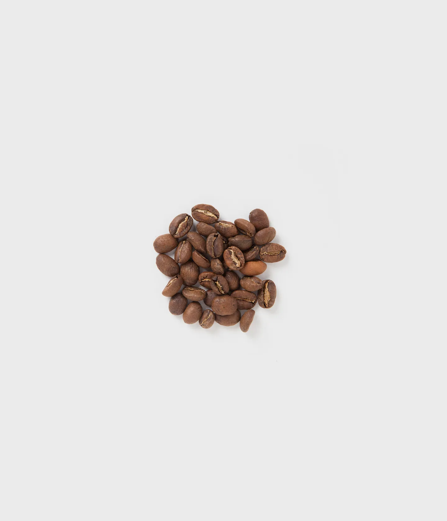 [韓國🇰🇷 Fritz] Fritz Blend Coffee Bean - Old Dog 200g (預購商品）