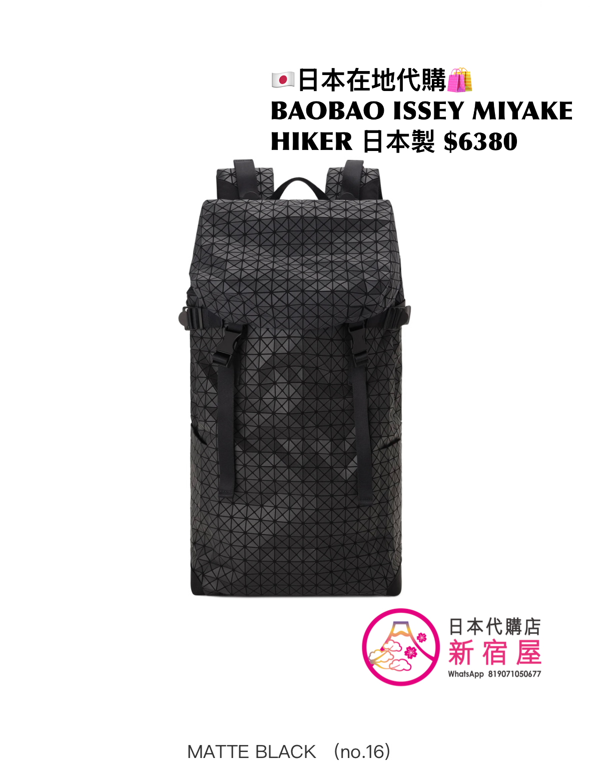 BAOBAO ISSEY MIYAKE HIKER