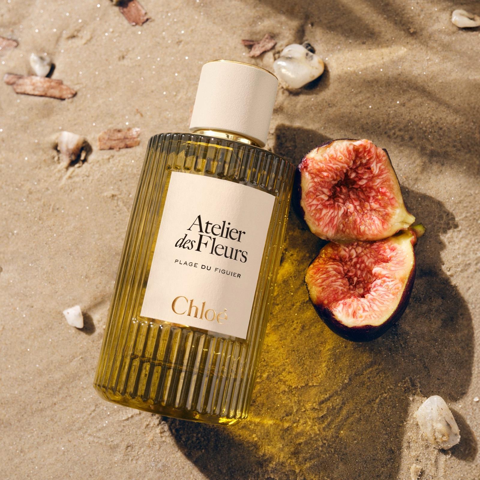 Chloe 蔻依仙境花園系列的無花果沙灘50ml （Plage du Figuier）香水