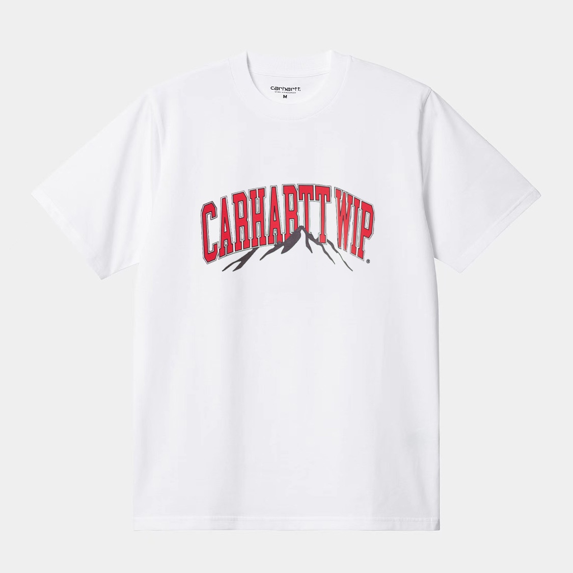 Carhartt WIP Mountain College T-Shirt