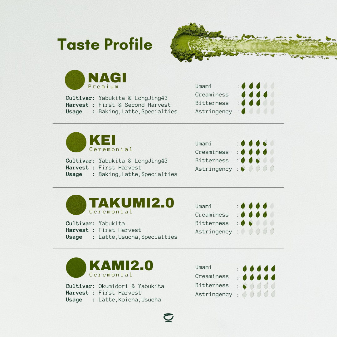 ZENZY MATCHA | ZENZY ALL-IN-ONE