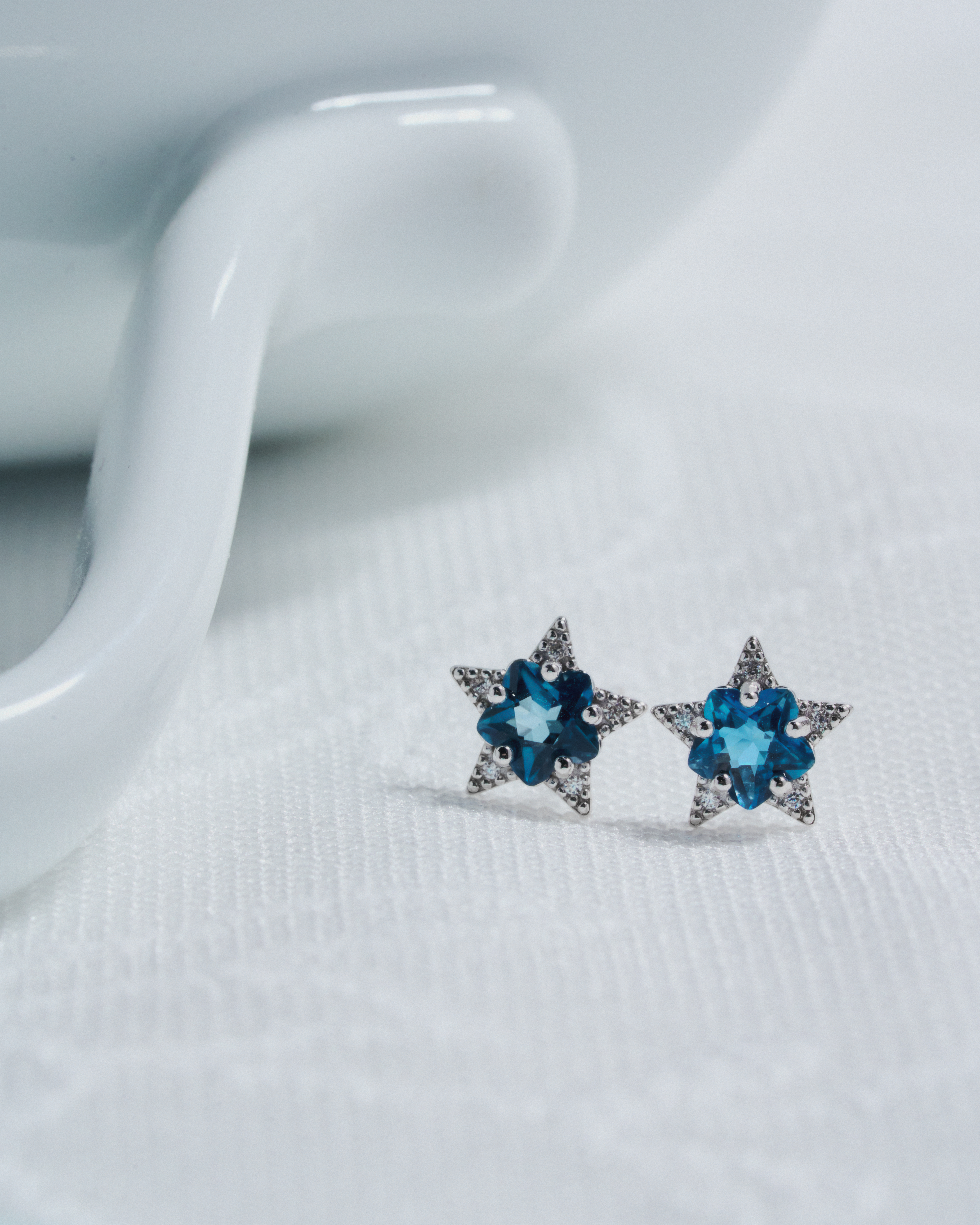 Voice to Value Earring