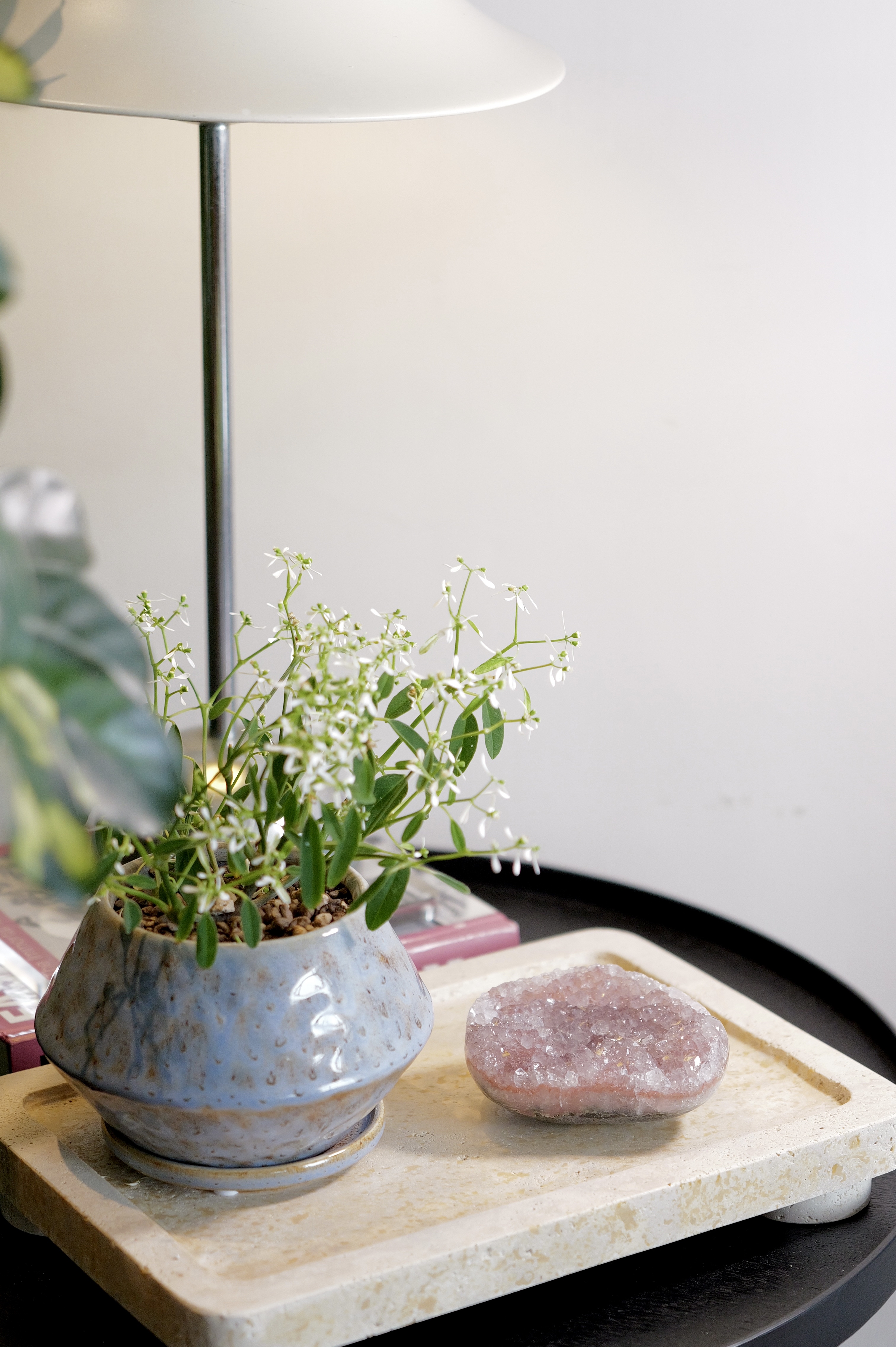 ༒8.4cm淡芋頭紫 晶牙花閃閃 紫水晶小窩༒ AM.7049CA8G37M-RA*2NA-