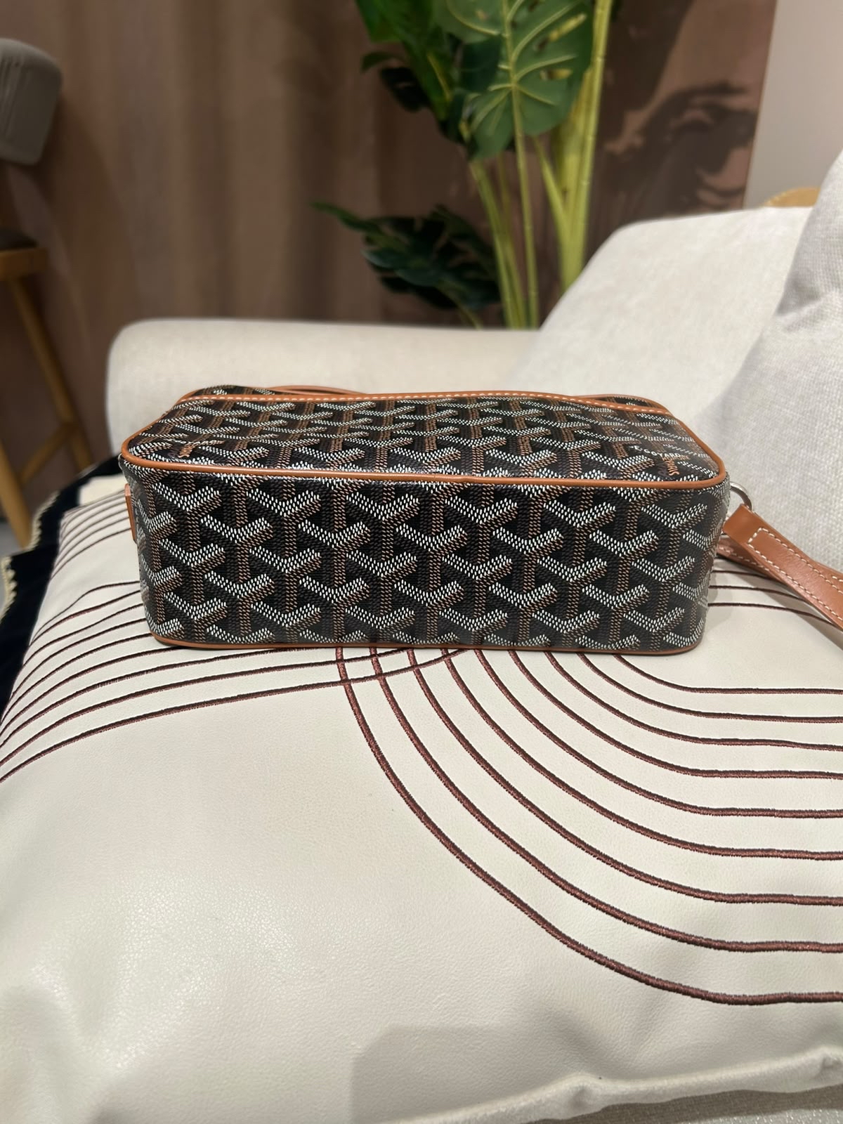 Goyard cap vert camera bag 100%Authentic ,95%new ✅收據副本✅塵袋✅booklet