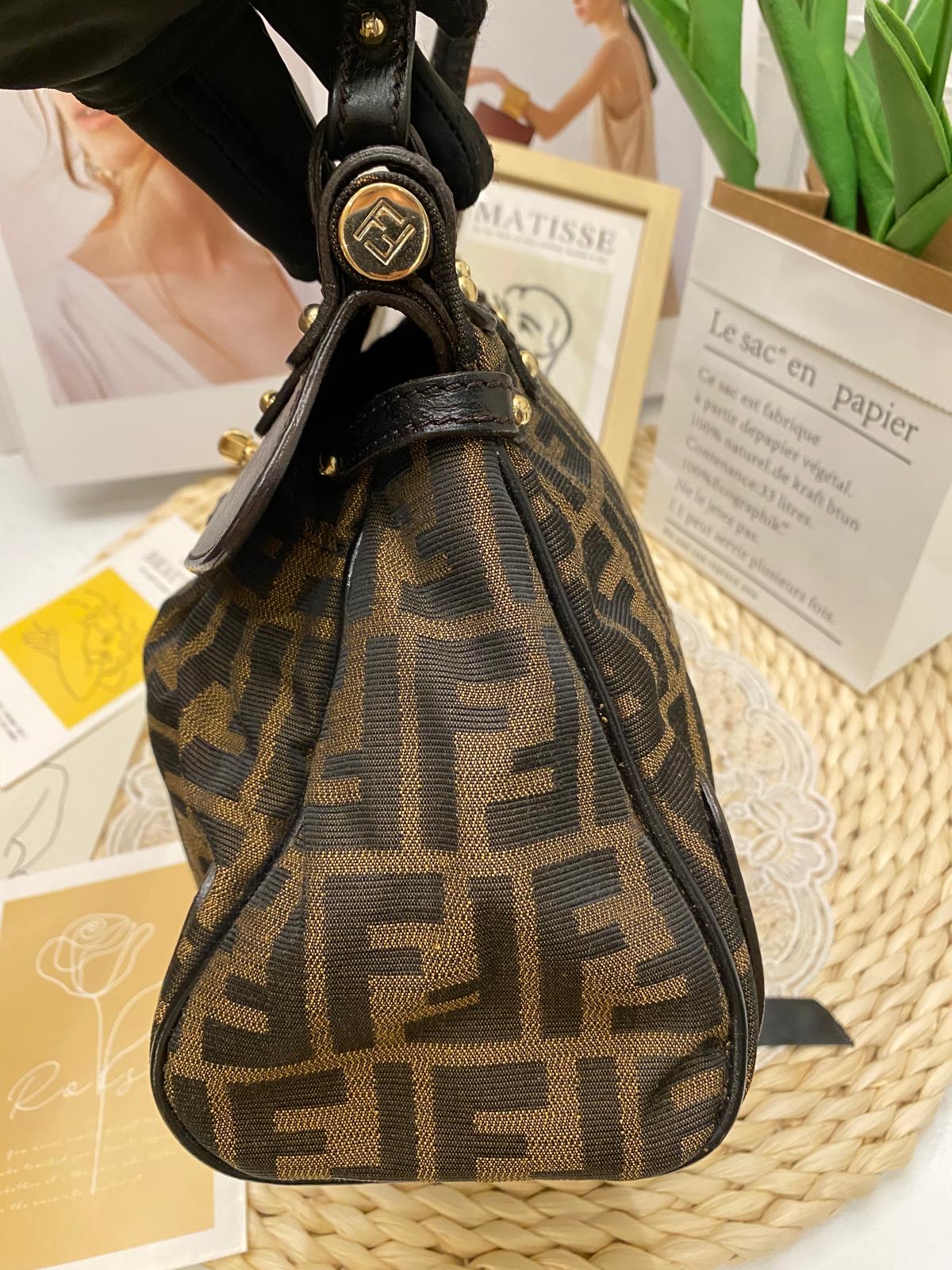 Fendi Zucca Print Canvas Magic Bag