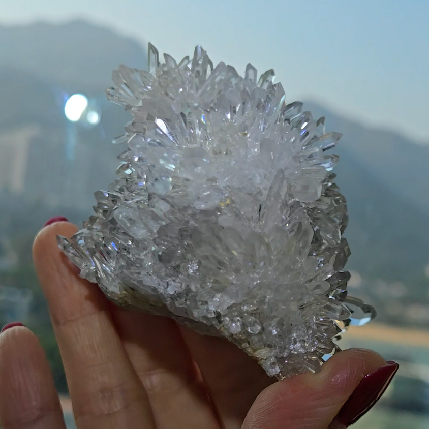 Chrysanthemum needle quartz with flower buds - CQ477