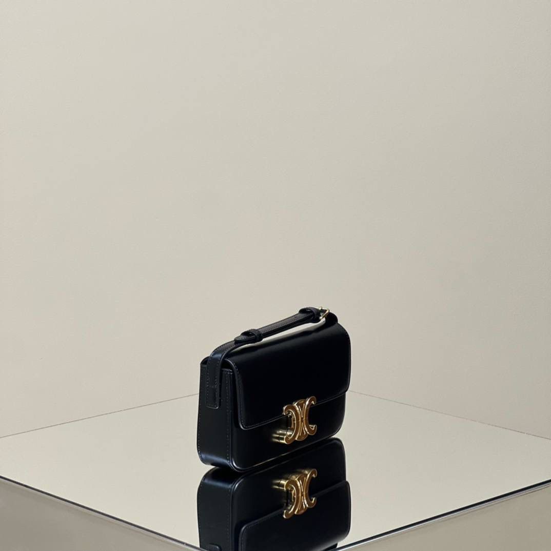 🔥大货实拍图 𝗖𝗘𝗟𝗜𝗡𝗘 ♥ 𝗧𝗥𝗜𝗢𝗠𝗣𝗛𝗘 𝗦𝗛𝗢𝗨𝗟𝗗𝗘𝗥 𝗕𝗔𝗚 型号：194143 尺寸：20*10*4cm