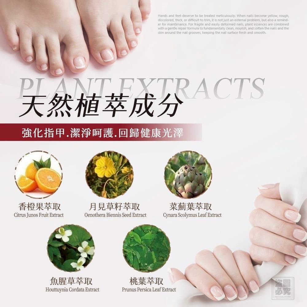 ＜限時預購＞ MIT 灰指甲滋養膏15ml TW260824S02 《28/8截單，預計10月下旬到港》