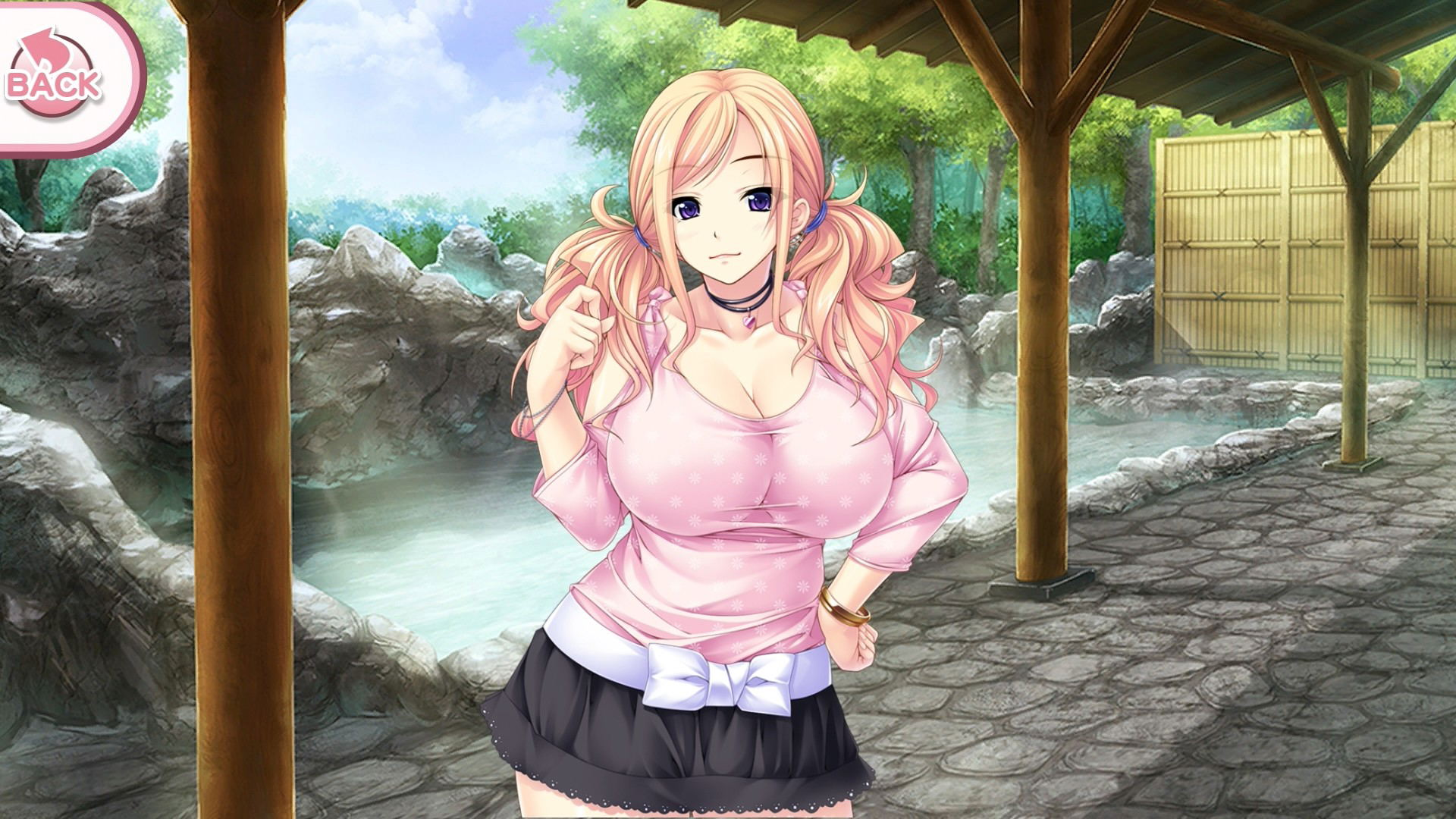 【預售 31/10】NS 漂亮女孩遊戲合輯第5彈 Pretty Girls Game Collection V 英文  (英文封面) PO1098