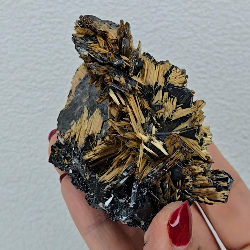 Golden exposed starburst rutiles on black hematite - RT288