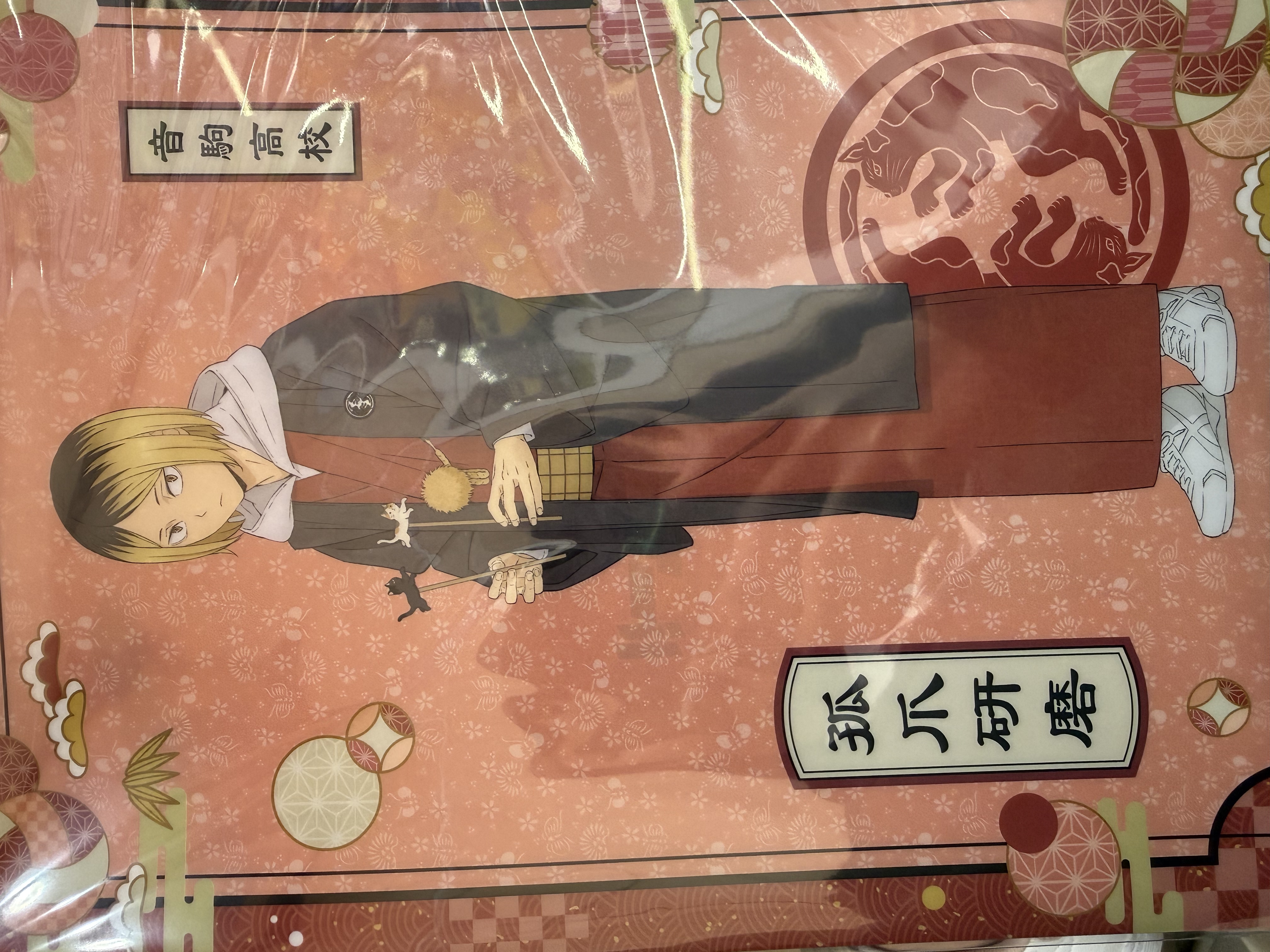 排球少年 File No. 300