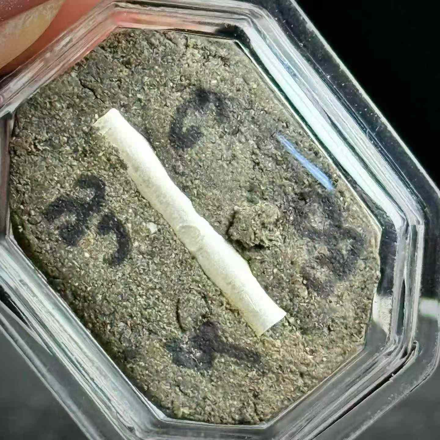 阿贊 wiang 鬼兵必打