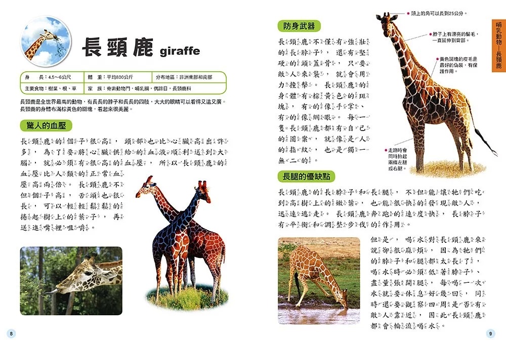 人類 兒童百科圖鑑 : 動物奧祕生態