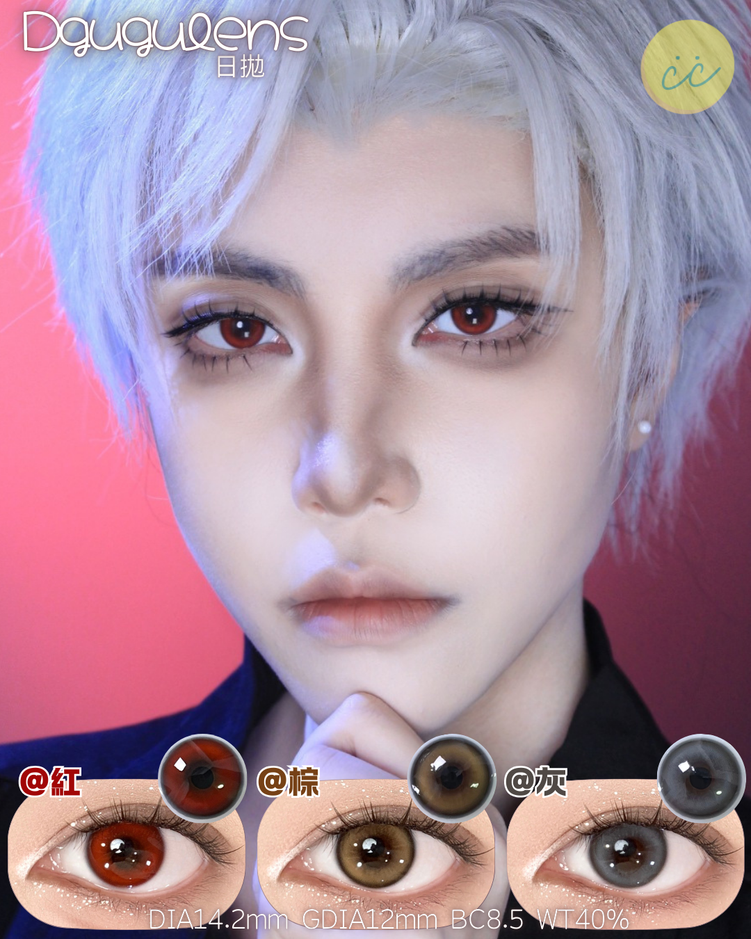 Dgugulens 日拋 豆豆系列