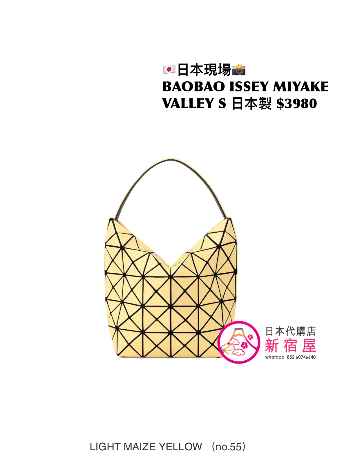 BAOBAO ISSEY MIYAKE VALLEY S