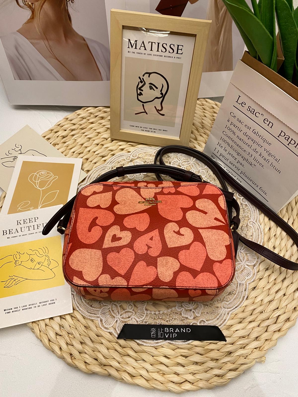Coach Mini Camera Bag With Heart Print