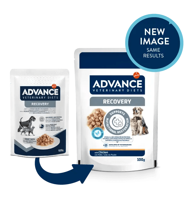 ADVANCE處方貓/狗濕糧 – 手術後恢復專用 100g