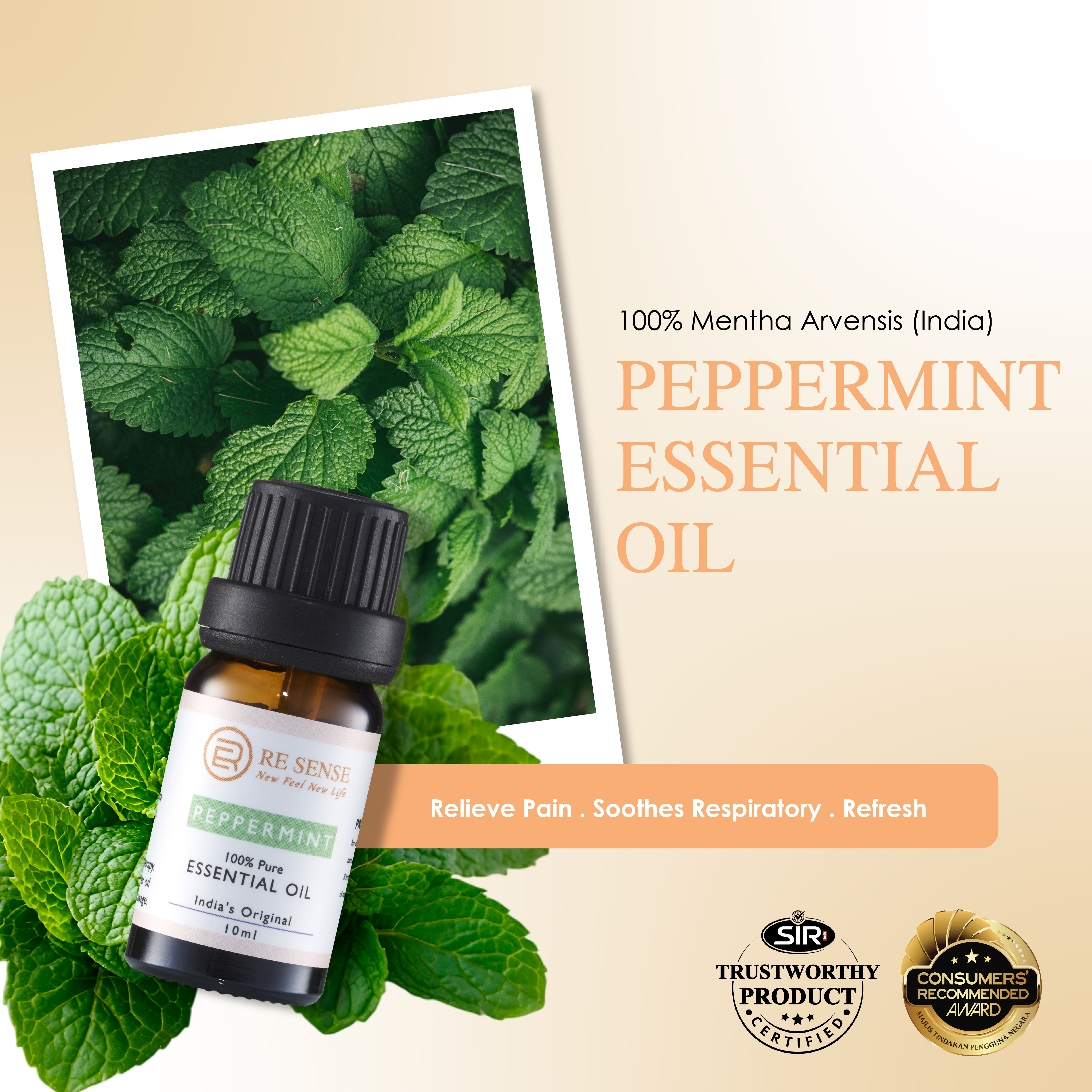 Peppermint Essential Oil (10ml)